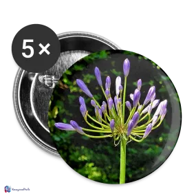 Agapanthus Giverny Buttons large 2.2'' (5-pack)