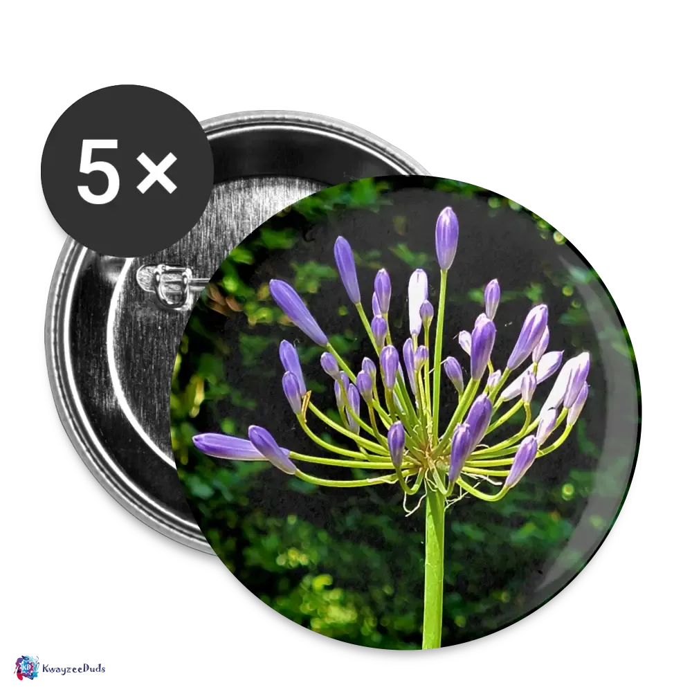 Agapanthus Giverny Buttons large 2.2'' (5-pack)